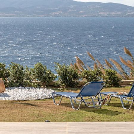 Dionysus House And Ariadne Apartment Stelida (Naxos) Exterior foto