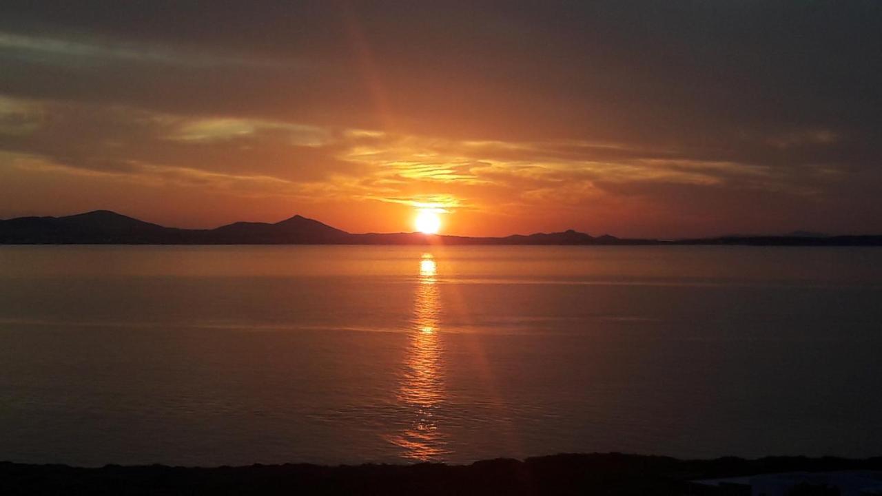Dionysus House And Ariadne Apartment Stelida (Naxos) Exterior foto